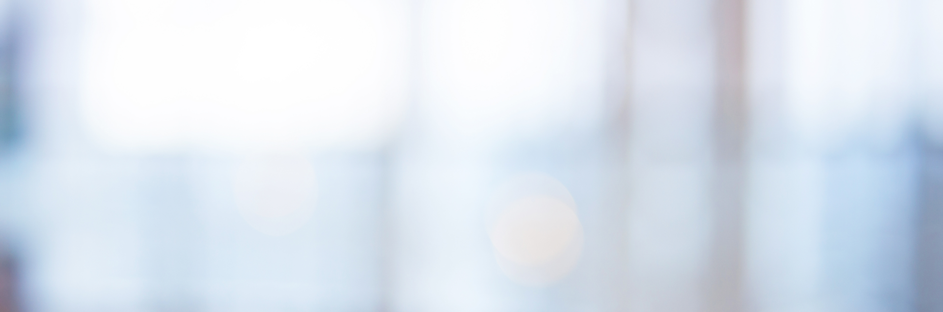 Meet our professional team